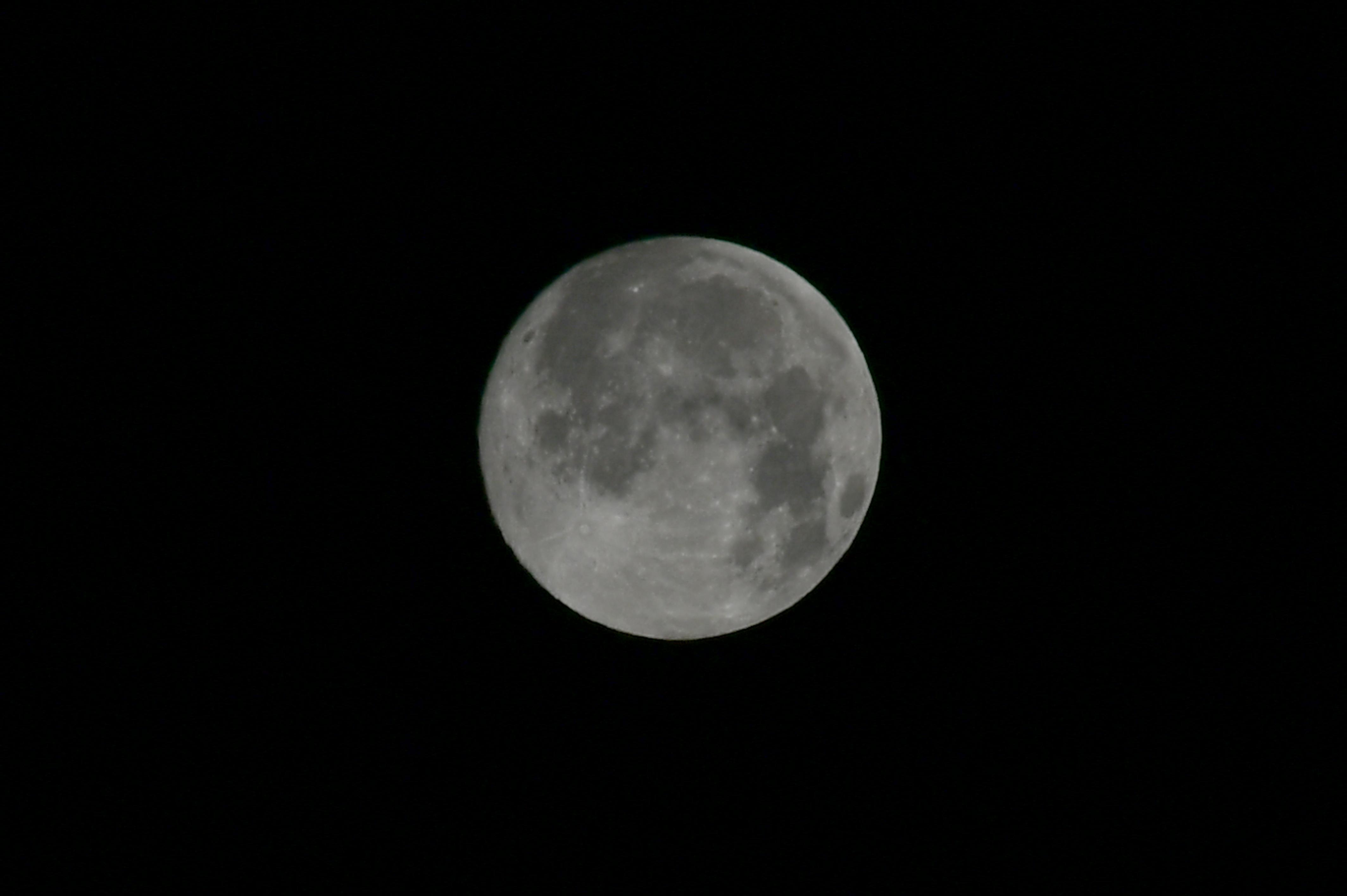 2020 정월대보름 달 전경 의 사진