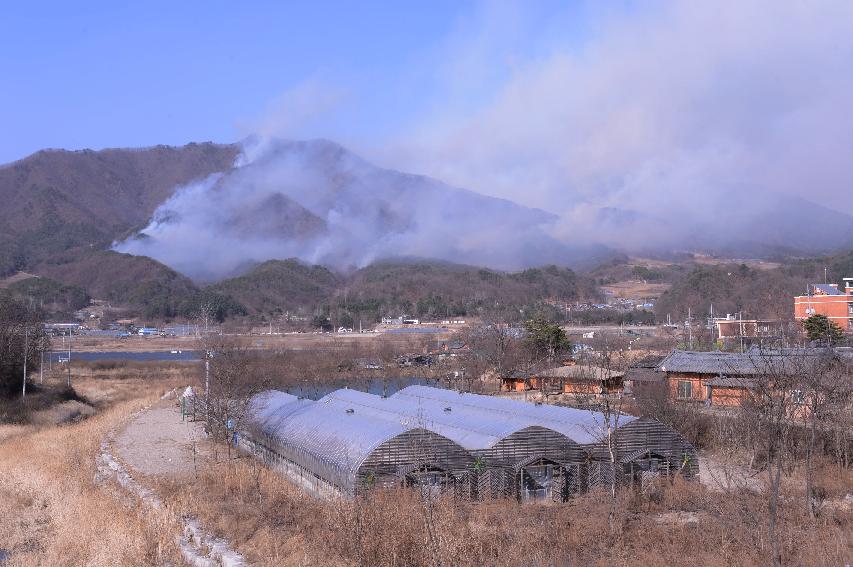 2015 화천군 간동면 도송리 산불 발생 현장 사진