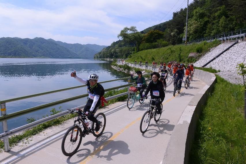 2015 국민화합 자전거 대행진 개회식 사진