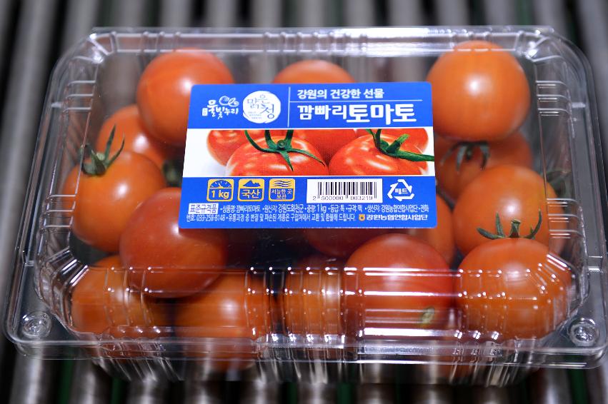 2015 화천군 사내면 사창리 토마토 선별장  의 사진