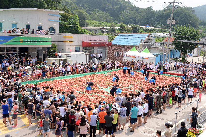 2015 화천 토마토축제장 전경 의 사진