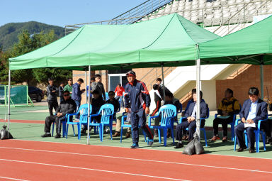2015 강원도 시군공무원 친선 축구대회 의 사진