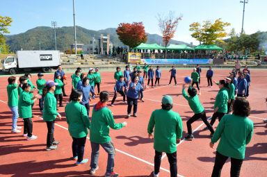 2015 이반장 새마을지도자 한마음 체육대회 의 사진