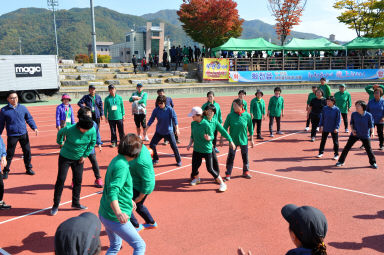 2015 이반장 새마을지도자 한마음 체육대회 의 사진