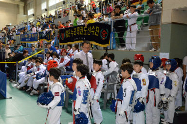 2016 전국 어린이 태권왕 대회 의 사진