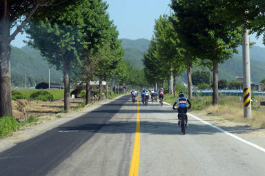 2016 DMZ랠리 전국평화 자전거대회 개회식 의 사진