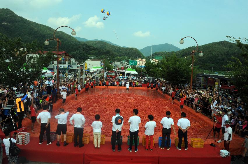 2016 화천토마토축제장 전경 의 사진