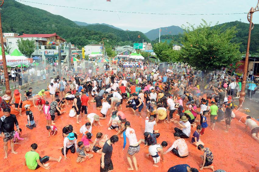 2016 화천토마토축제장 전경 의 사진