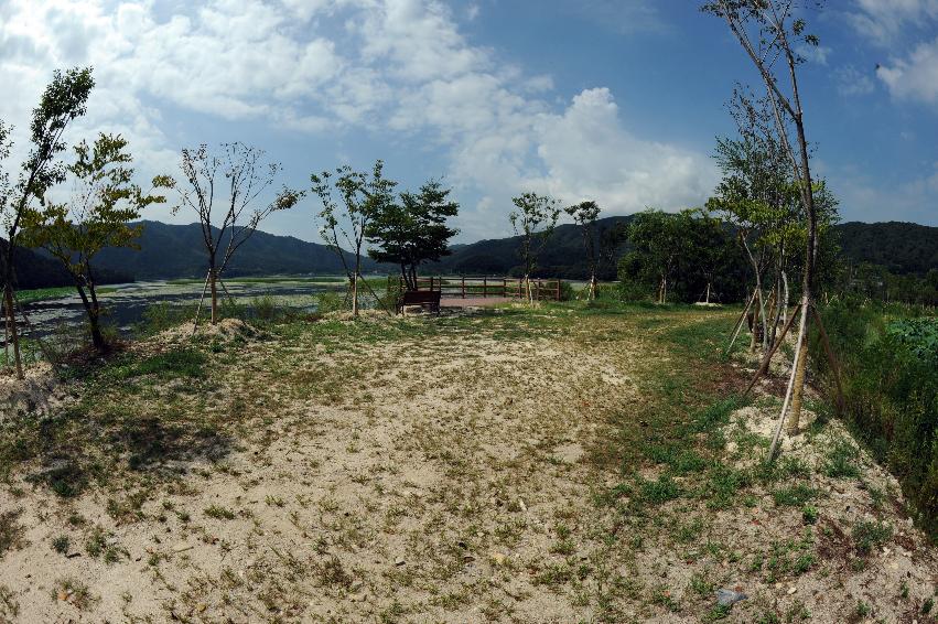 2016 하남면 서오지리 연꽃단지 전경 의 사진