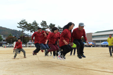 2016 화천중고동문회 추계체육대회 의 사진