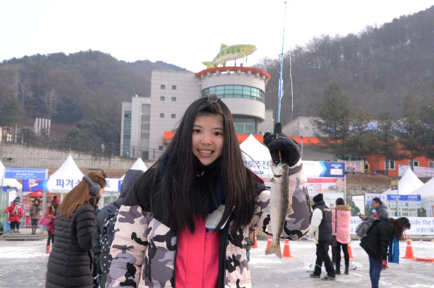 2017 화천산천어축제장 전경 의 사진