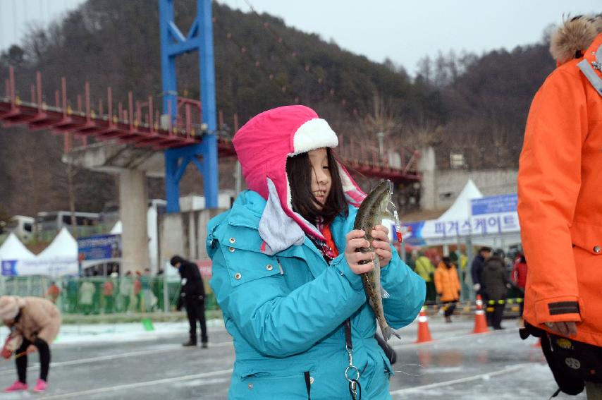 2017 화천산천어축제장 전경 의 사진