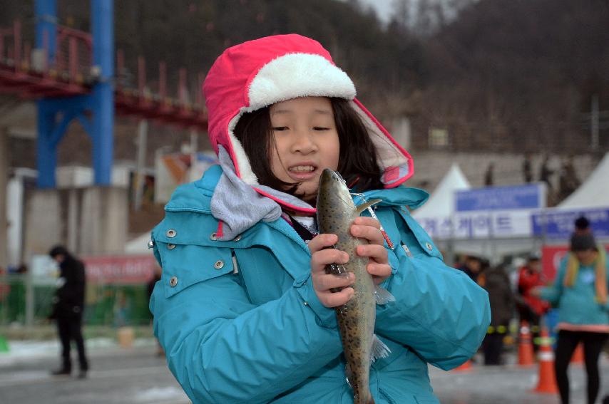 2017 화천산천어축제장 전경 의 사진