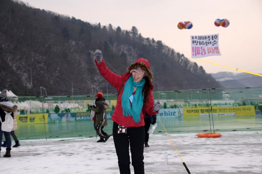 2017 화천산천어축제장 전경 의 사진