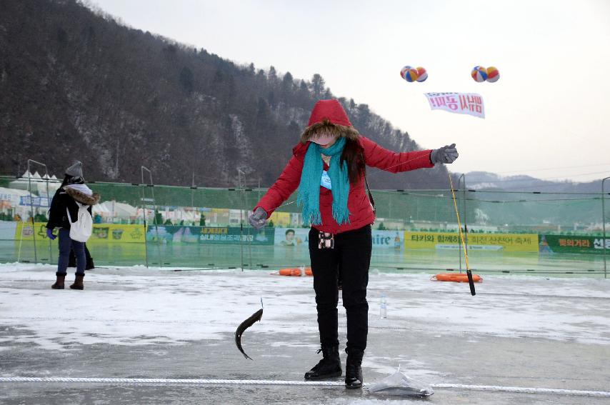 2017 화천산천어축제장 전경 의 사진