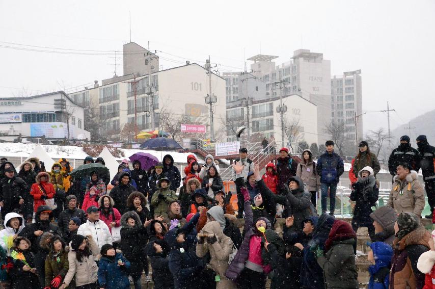 2017 화천산천어축제 산천어 맨손잡기 전경 의 사진