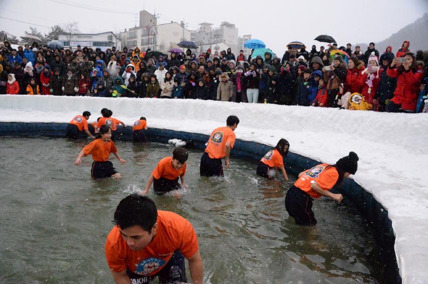 2017 화천산천어축제 산천어 맨손잡기 전경 의 사진