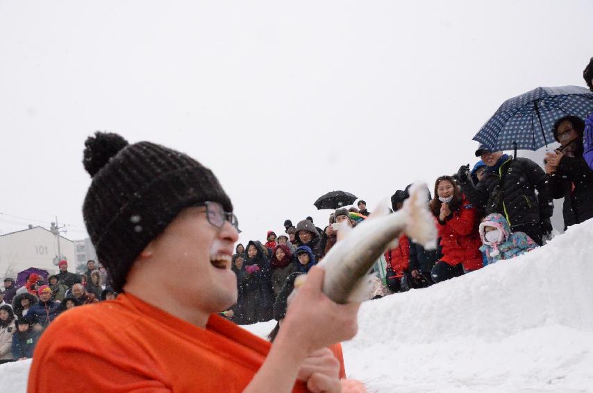 2017 화천산천어축제 산천어 맨손잡기 전경 의 사진