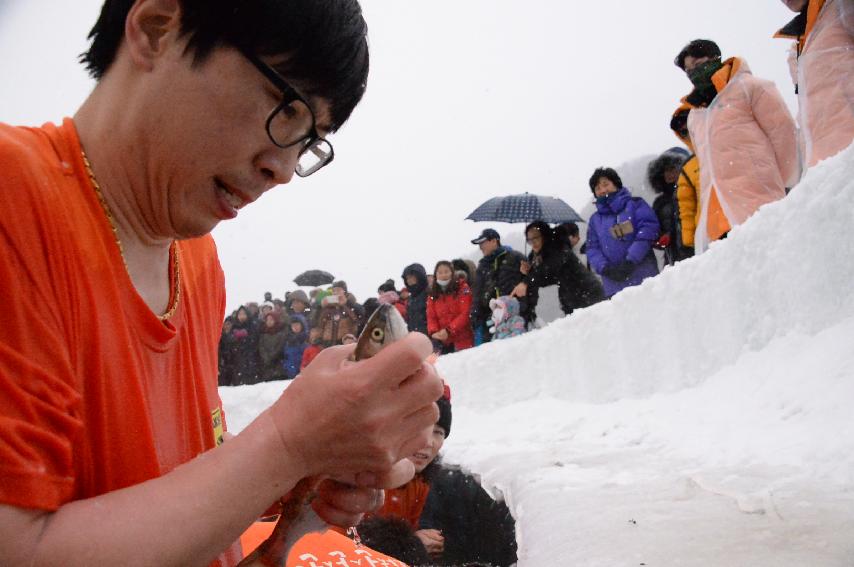 2017 화천산천어축제 산천어 맨손잡기 전경 의 사진