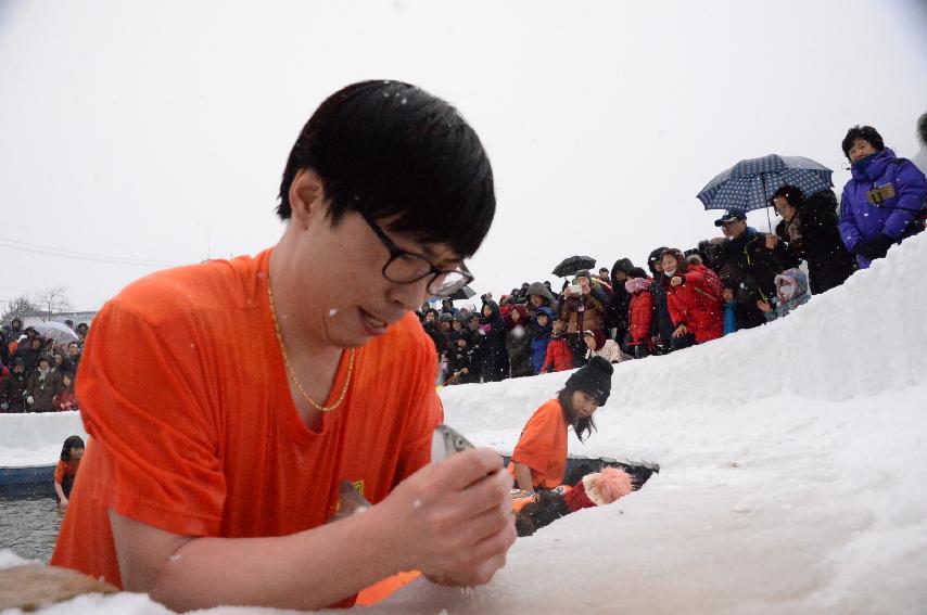 2017 화천산천어축제 산천어 맨손잡기 전경 의 사진