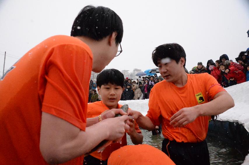 2017 화천산천어축제 산천어 맨손잡기 전경 의 사진