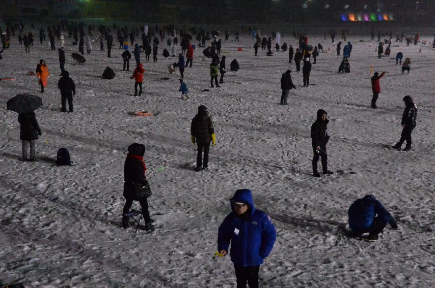 2017 화천산천어축제 산천어 밤낚시 전경 의 사진