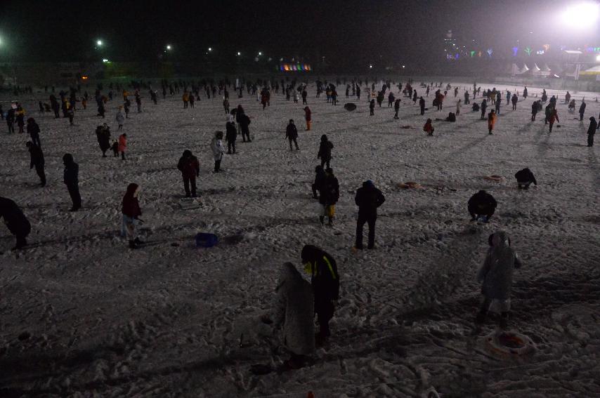 2017 화천산천어축제 산천어 밤낚시 전경 의 사진