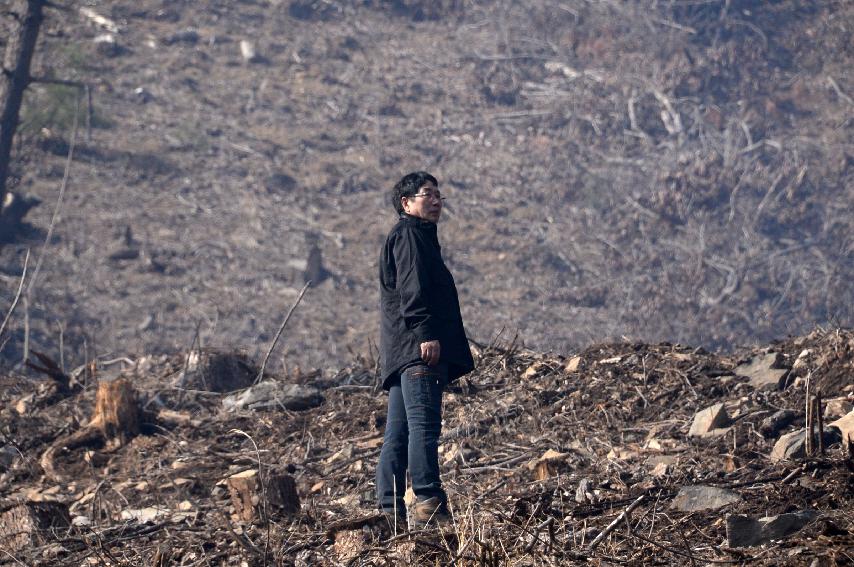 2017 하남면 논미리 산불진화 전경 의 사진