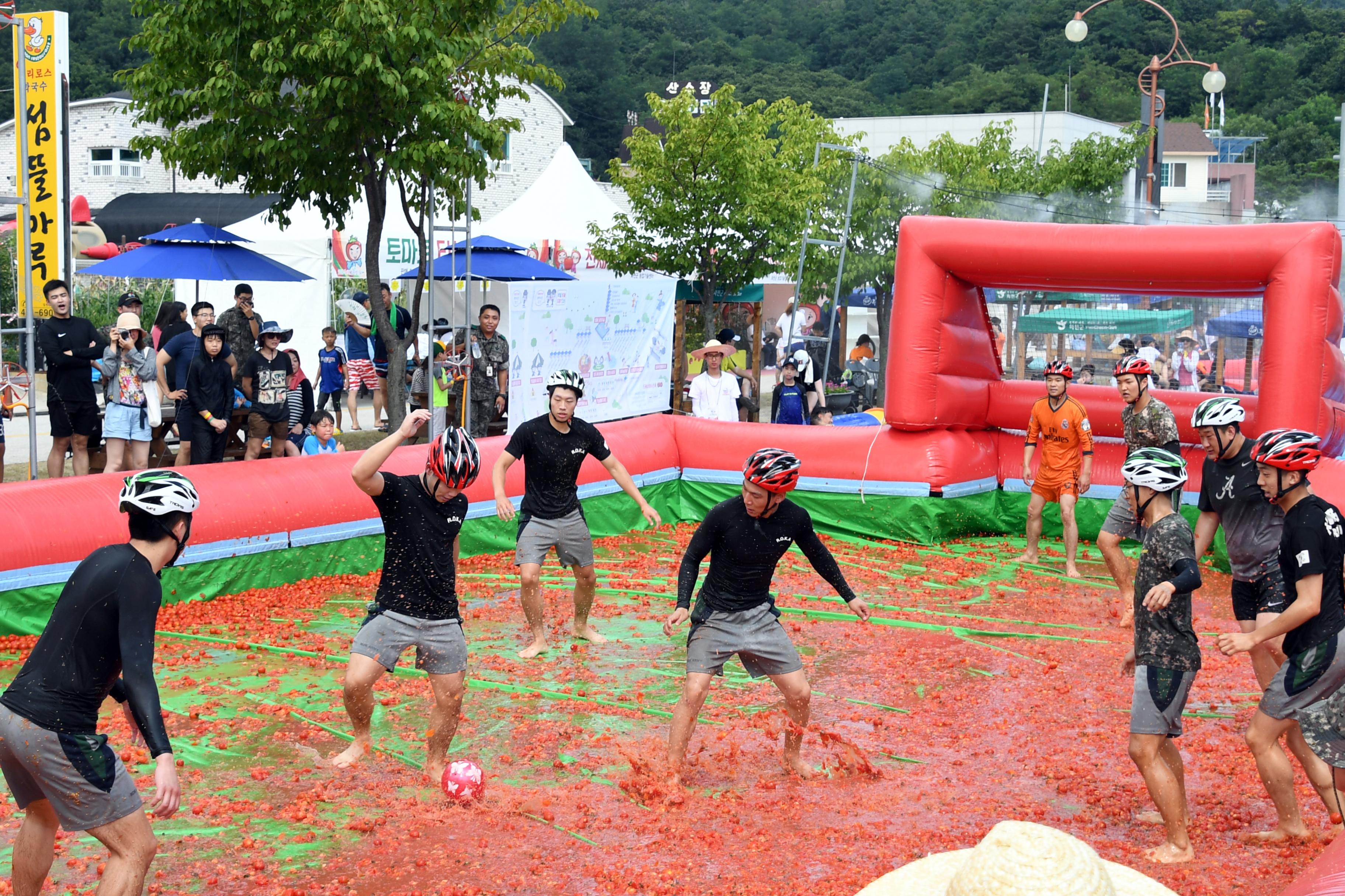 2018 화천토마토축제 토마토축구장 전경 의 사진