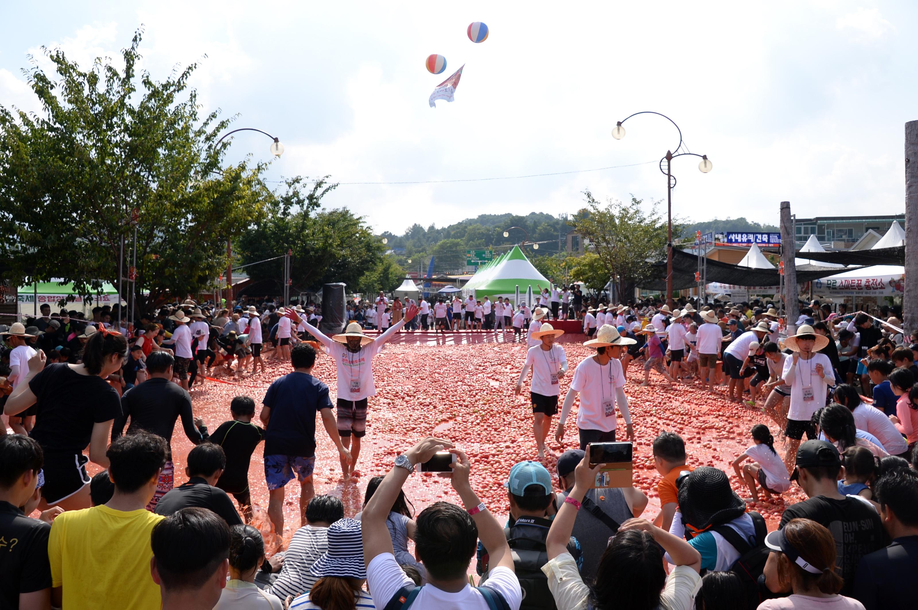 2018 화천토마토축제 주한대사 초청 황금반지를 찾아라 의 사진