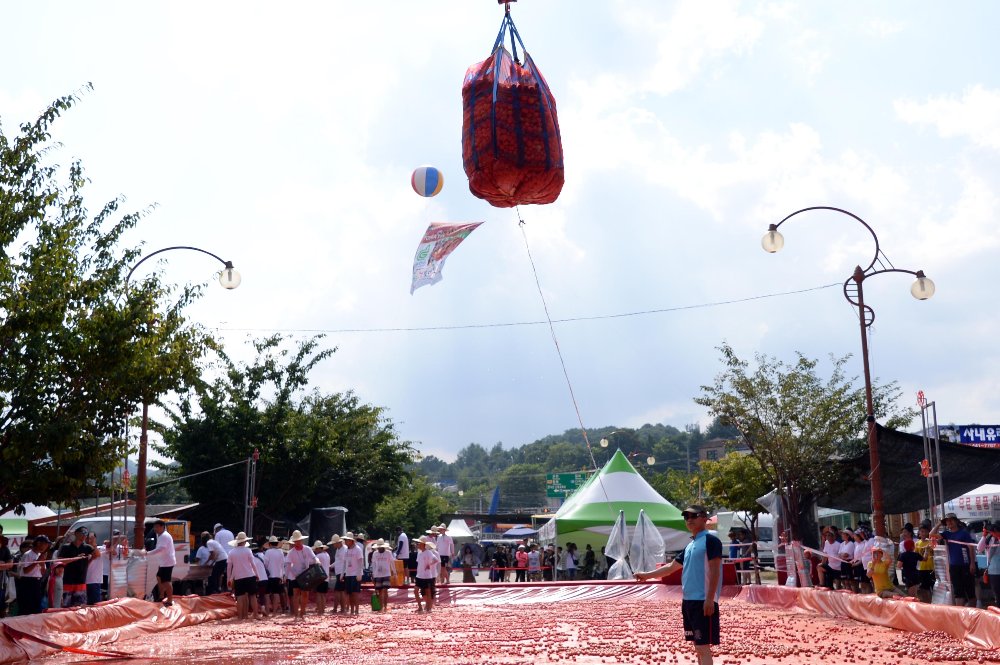2018 화천토마토축제장 전경 의 사진