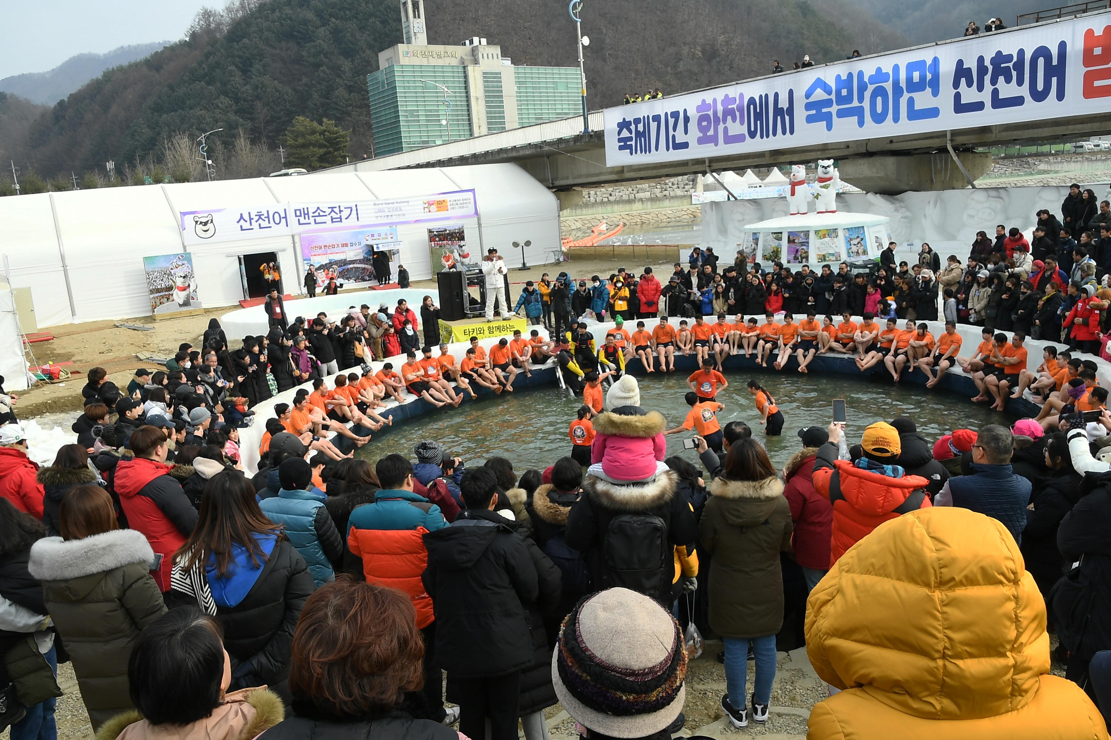 2019 화천산천어축제 산천어맨손잡기장 전경 의 사진