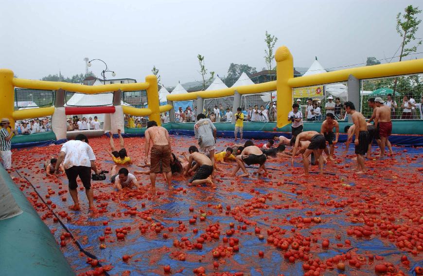 토마토축제 의 사진