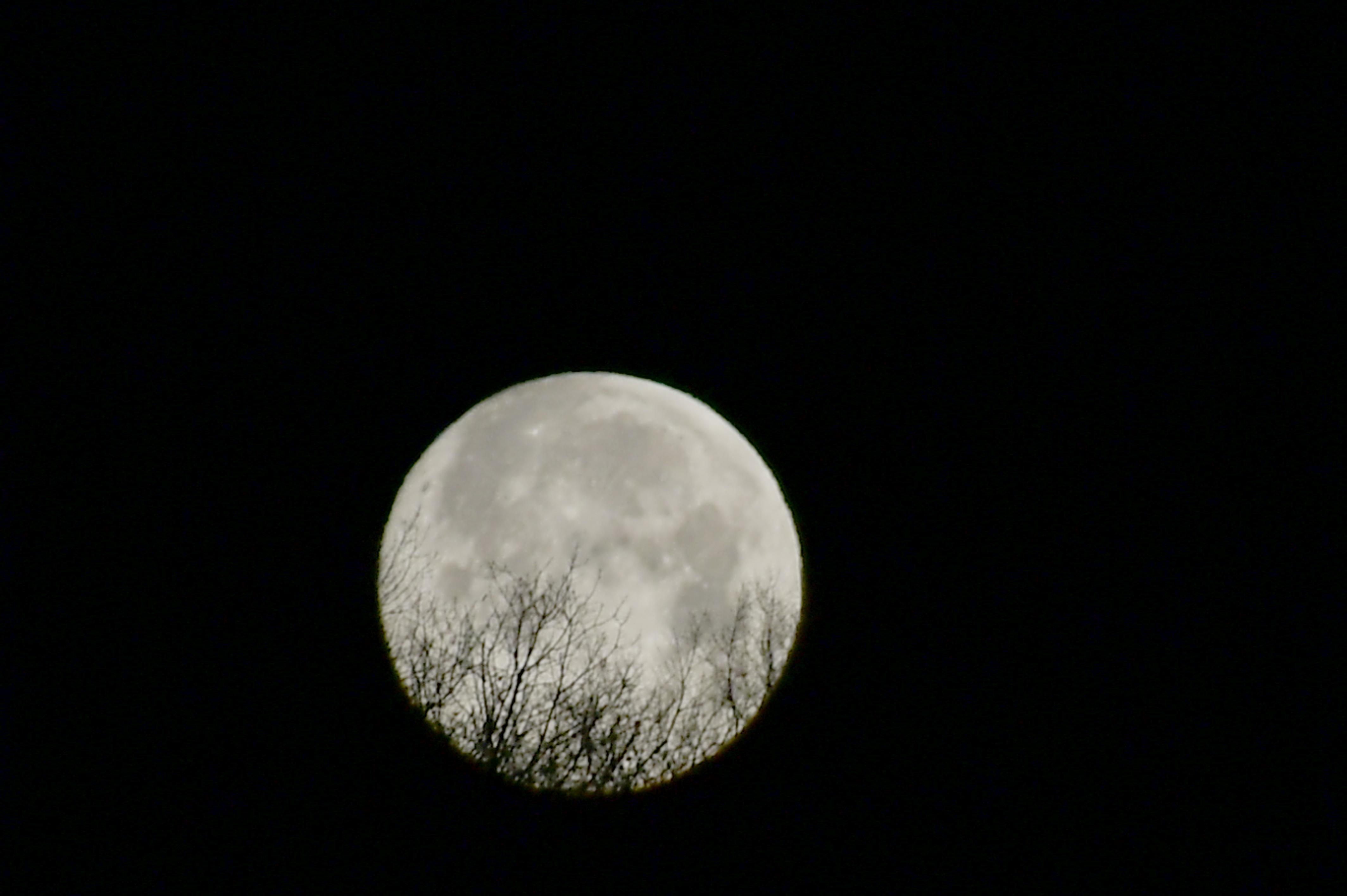 2020 정월대보름 달 전경 의 사진