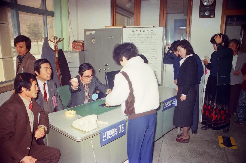 제12대 국회의원 선거 사진