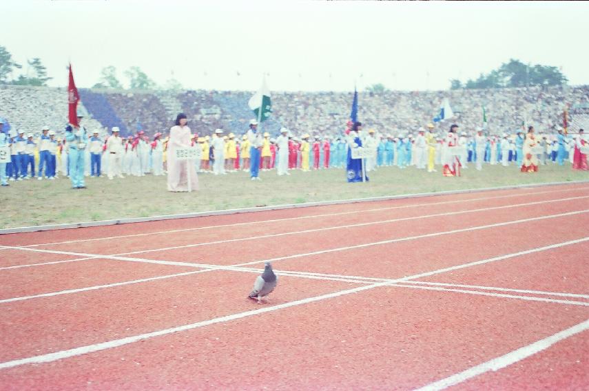 제19회 강원도민 체육대회 의 사진