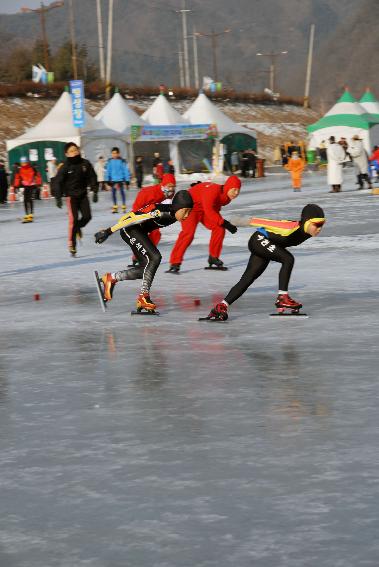 제39회 백곰기 전국초교빙상경기대회 사진