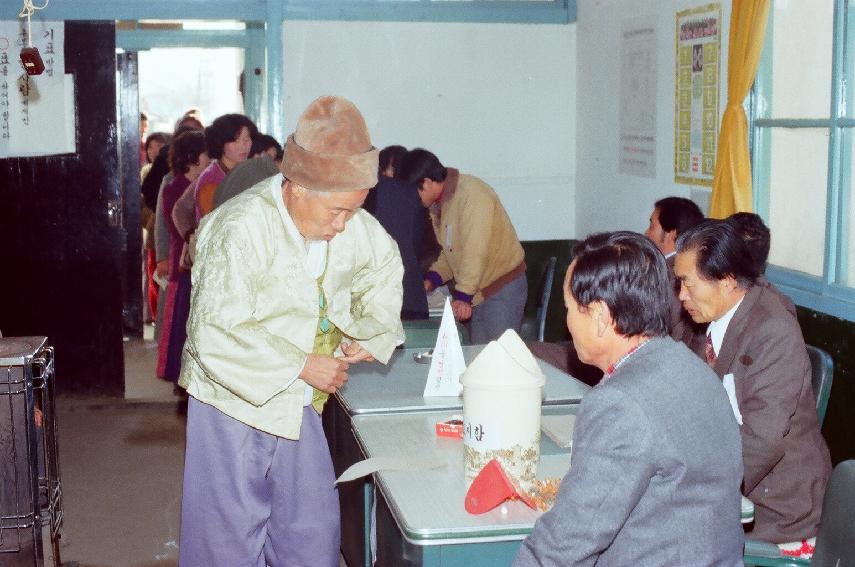 국회의원 선거 사진