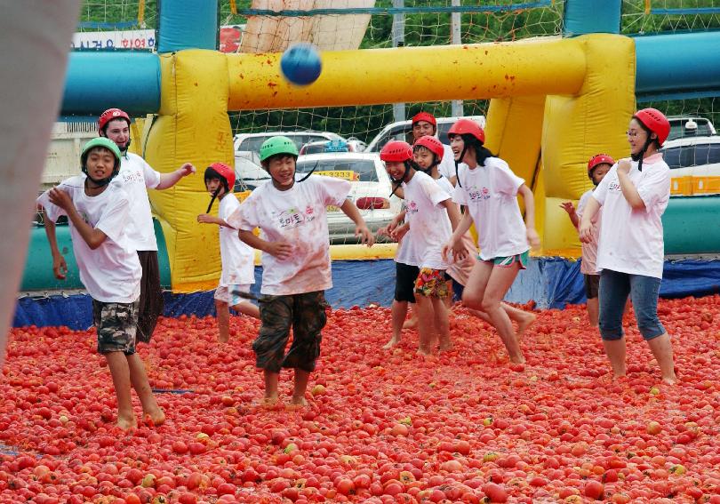제5회 화천 화악산 토마토축제 각종행사 의 사진
