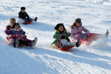 2008산천어축제 눈썰매,얼음썰매,봅슬레이 체험행사 의 사진