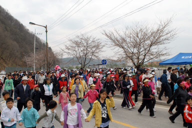 2008 건강걷기의날 화천군민건강걷기대회 의 사진