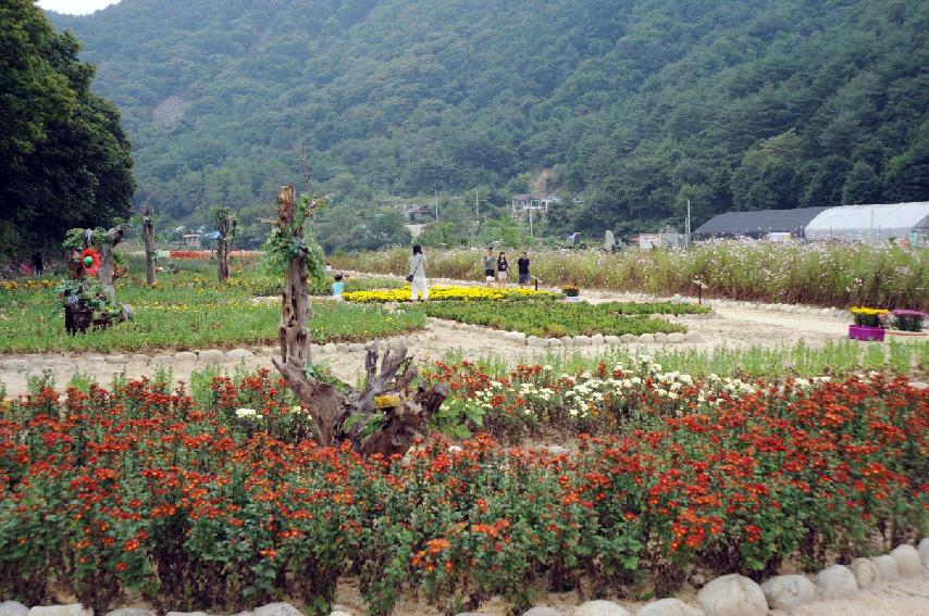 제1회 화악산 꽃마을 일탈마당 개회식 의 사진