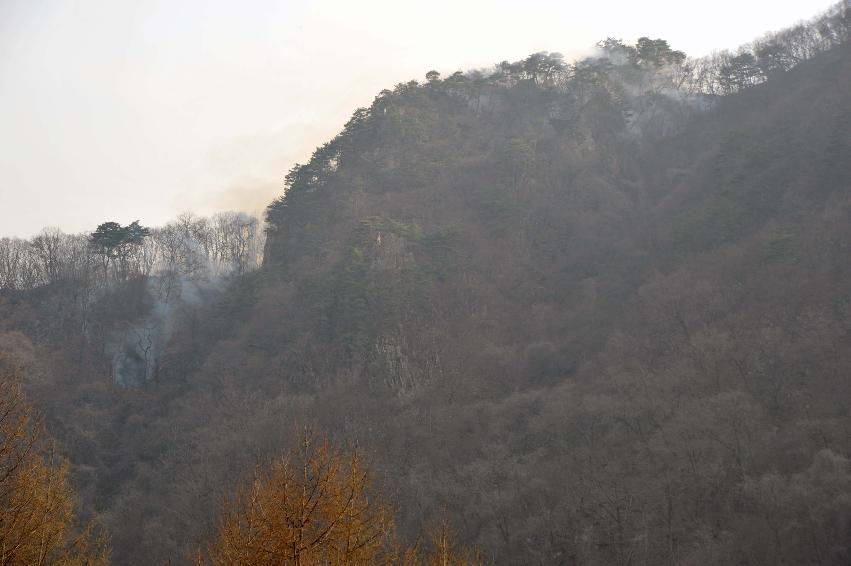 봉오리 산불진화 의 사진