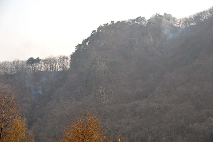 봉오리 산불진화 의 사진