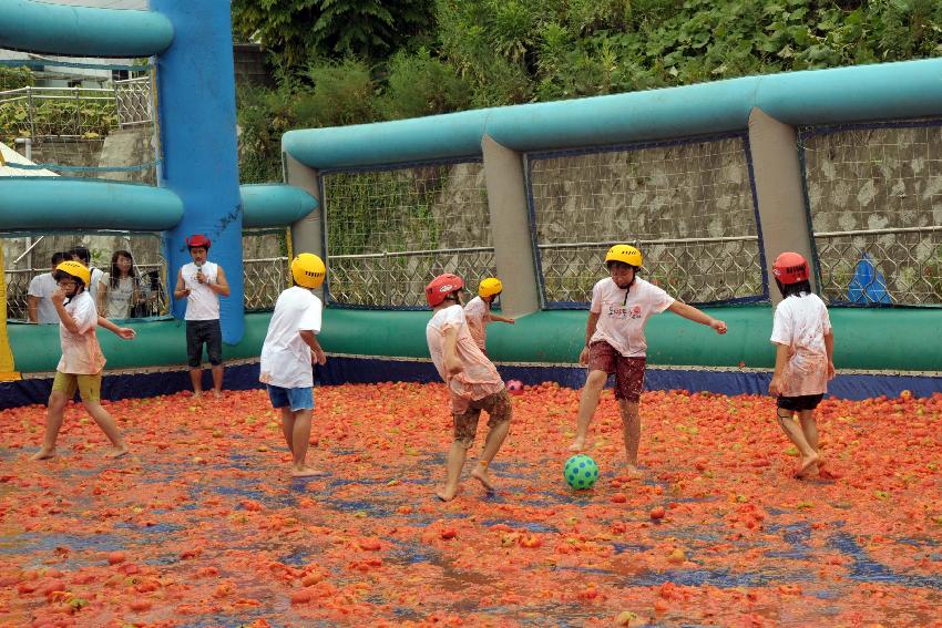 2009 토마토축제 각종체험 의 사진