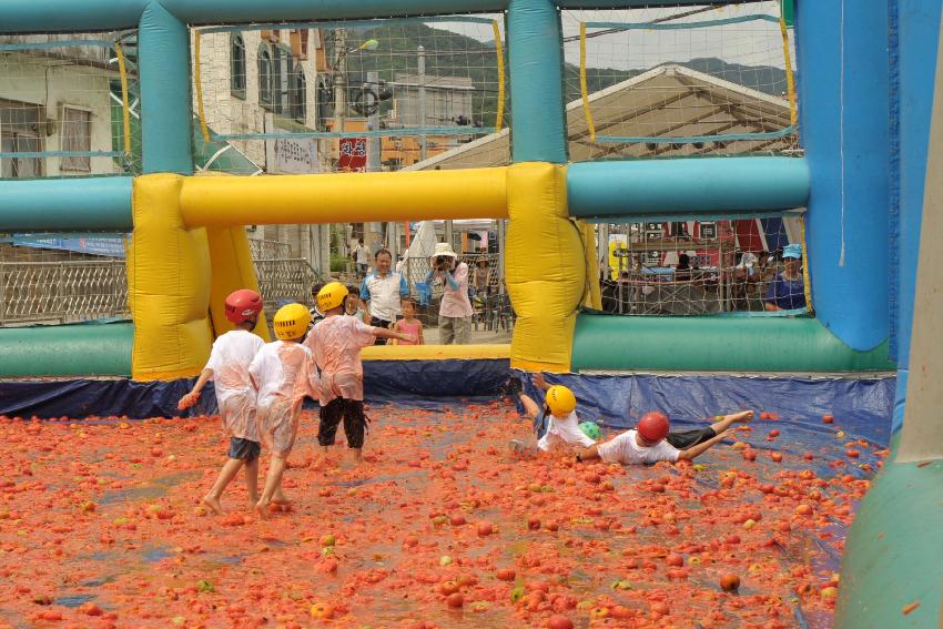 2009 토마토축제 각종체험 의 사진