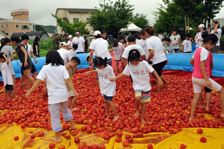 2010 토마토축제 각종체험행사 의 사진
