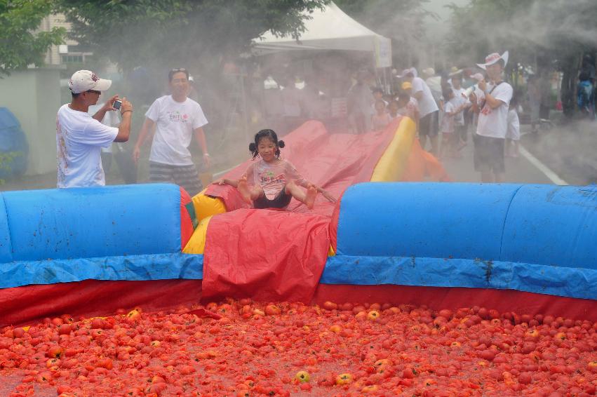 2010 토마토축제 각종체험행사 의 사진