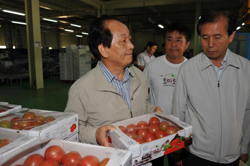 2011 서규홍 농림수산식품부장관 토마토선별장 방문 의 사진