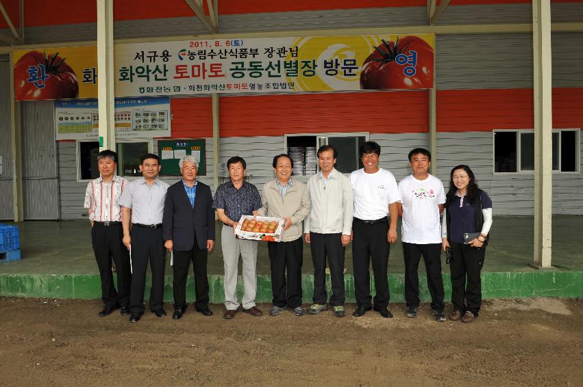 2011 서규홍 농림수산식품부장관 토마토선별장 방문 의 사진
